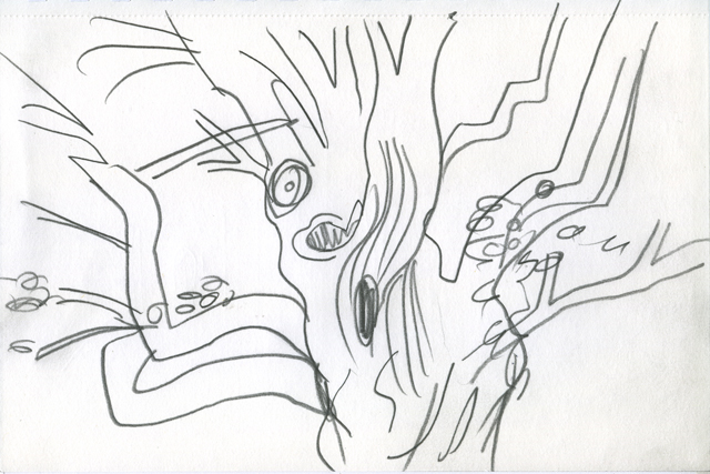 Tree, Pluckley, Kent